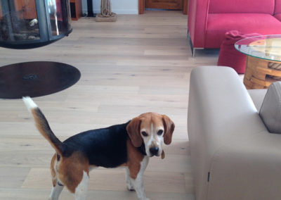 PARQUET – CHENE BLANCHI – MARSILLY (17)